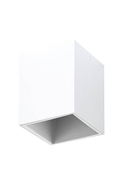 Eglo 63191 "Polasso Pro" Ceiling Wall Luminaire