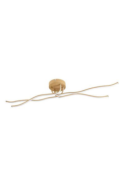 Eglo 901105   "Roncade 2" Ceiling Wall Luminaire