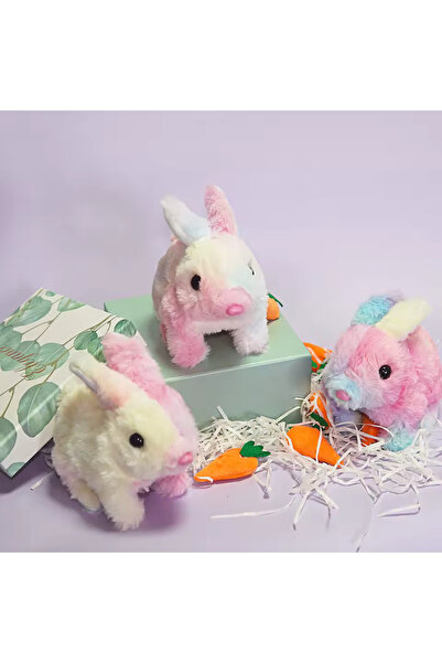 Home Işıklı Peluş Tavşan