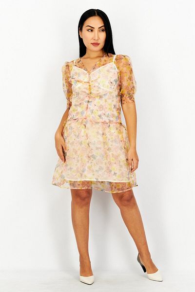 NA-KD Women V Neck Short Sleeves Printed Organza Mini Dress, Floral