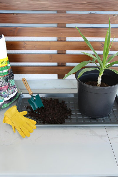 EVLE Çok Amaçlı Ayakkabı Tepsisi, Dolap İçi Plastik Altlık, Plastik Düzenleyici