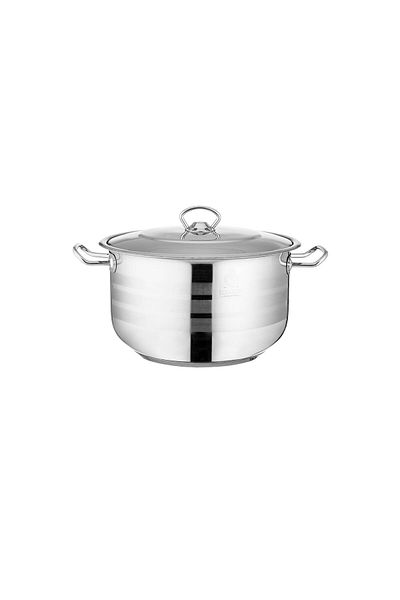 Dania Stainless steel cooking pot 26 cm