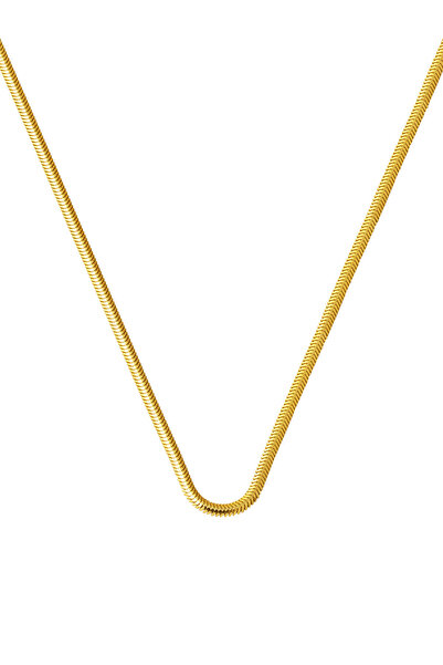 Bilezikci 45 cm. 14 Ayar Altın Balıksırtı Zincir