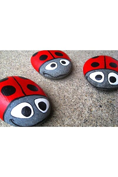 Genel Markalar Taş Boyama Orta Boy 11 Adet 9 Yaş Üstü Çocuklar Için Zeka Geliştirici Kız Erkek Çocuk