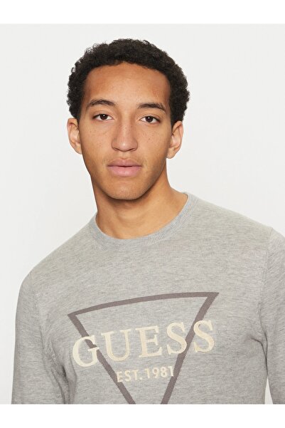 Guess FABIAN VN LOGO SWTR