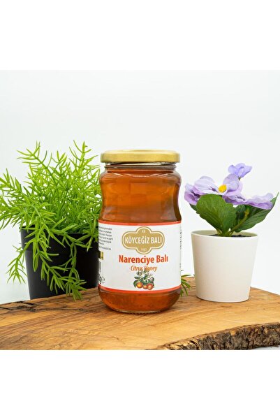 kb köyceğiz balı Narenciye Balı 450 G Cam Kavanoz