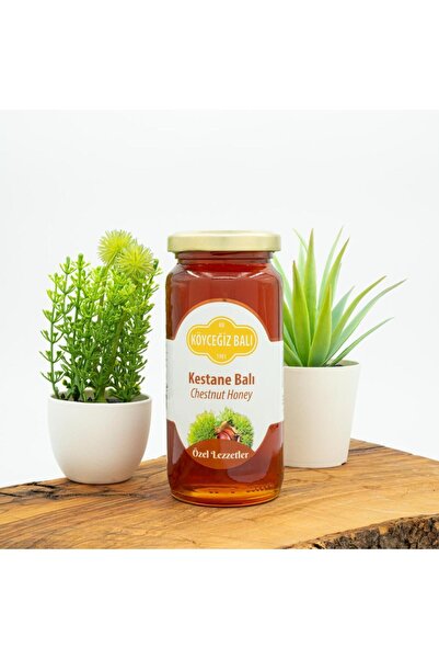 kb köyceğiz balı Kestane Balı 330 G Cam Kavanoz