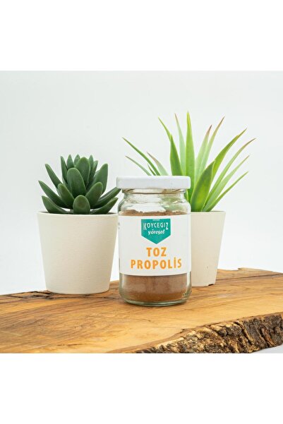 kb köyceğiz yöresel Kb Köyceğiz Balı Toz Propolis 50 G Cam Kavanoz