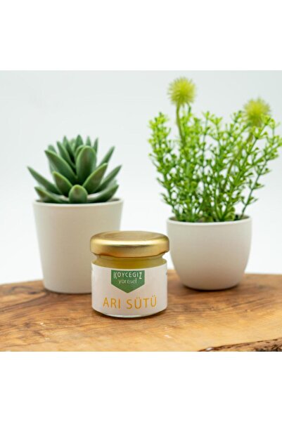 kb köyceğiz yöresel Kb Köyceğiz Balı Arı Sütü 25 G Cam Kavanoz