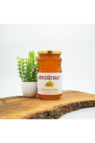 kb köyceğiz balı Ihlamur Balı 450 G Cam Kavanoz