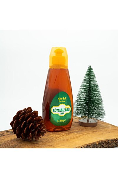 kb köyceğiz balı Çam Balı 400 G Çıt Kapak