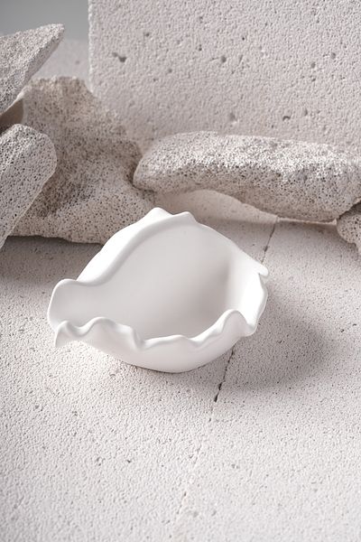ALCSTORE Seashell Oyster Decorative Box