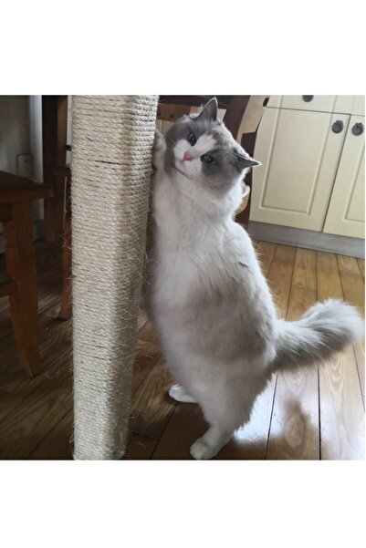 Alfa Tasarım Cat Scratch Rope 4 mm X 15 Meters