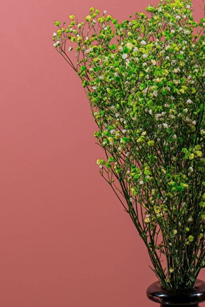 YAPAY ÇİÇEK DERYASI Kuru Çiçek Doğal YEŞİL Cipso  1. Kalite Şoklanmış Bozulmaz