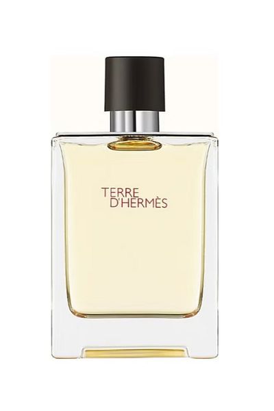 Hermes Terre D'Hermes EDT 100ml