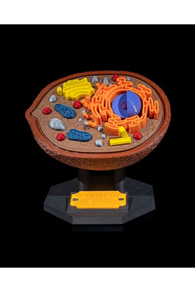 Xeir Decoration Hayvan Hücre Modeli - Hücre Baketi Modüler