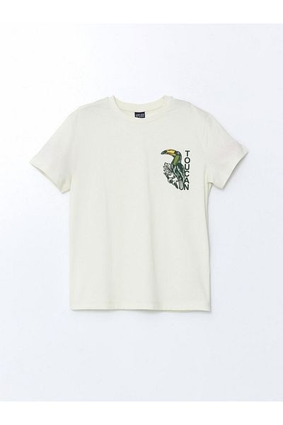 LC Waikiki Lcw Crew Neck Boys T-Shirt and Shorts