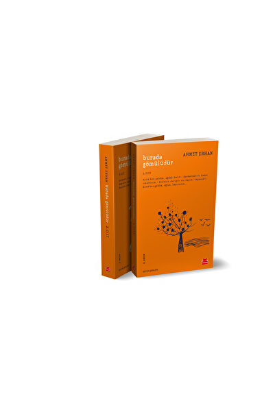 Kırmızı Kedi Yayınları Ahmet Erhan Seti (Burada Gömülüdür 1. ve 2. Cilt)