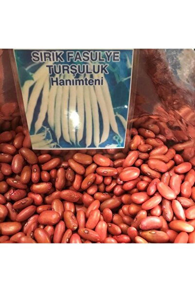 Karahasanoğlu Tarım Yerli Ata Tohumu Sırık Hanımteni Turşuluk Fasulye 25 Gr