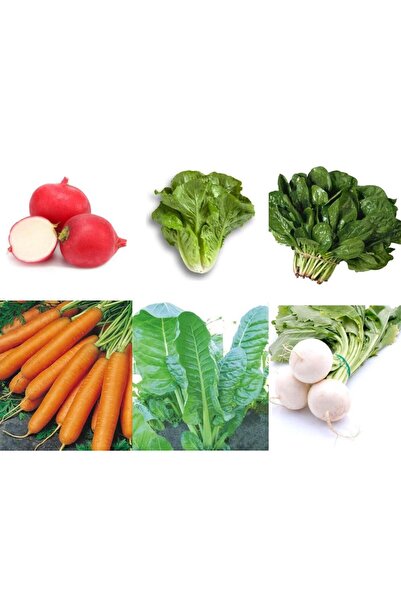 Karahasanoğlu Tarım Yerli Havuç-kırmızı Turp-beyaz Turp-maydanoz-ıspanak-pazı...