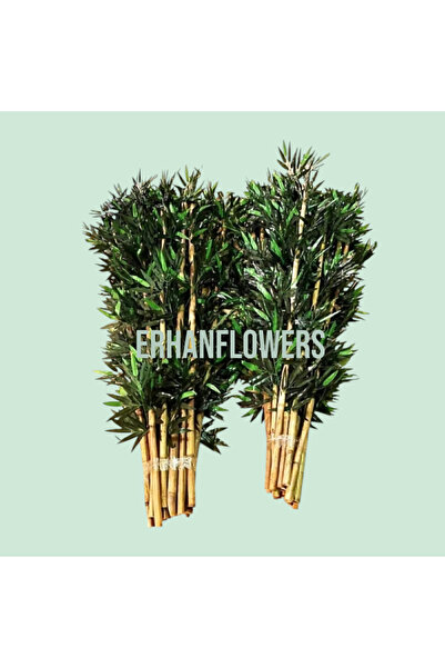 ERHAN FLOWERS Bambu 5 Adet 100 Cm Çubuk Yapay Agaç Çubukları Bahçe Balkon Ev Dekor Bitki Botanik