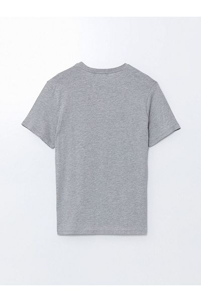 LC Waikiki Lcw Eco Crew Neck Short Sleeve Printed Men's T-Shirt