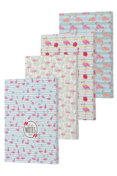 Dokuz Yayınları Vivago Art Flamingo Series 14X20 Line Notebook Set (4X160 Sheets)