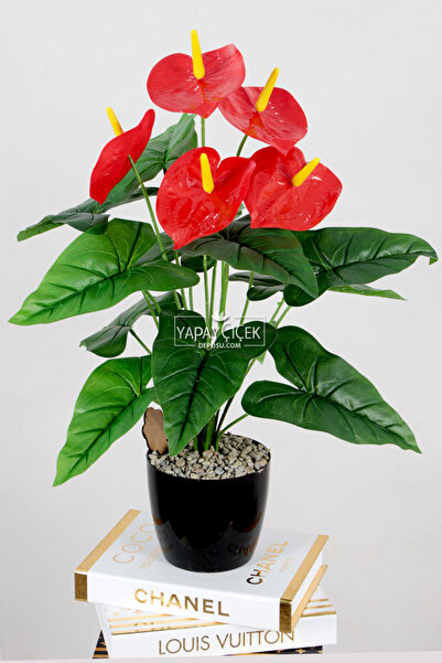 Yapay Çiçek Deposu Siyah Saksıda Kırmızı Antoryum Bitkisi 65 cm