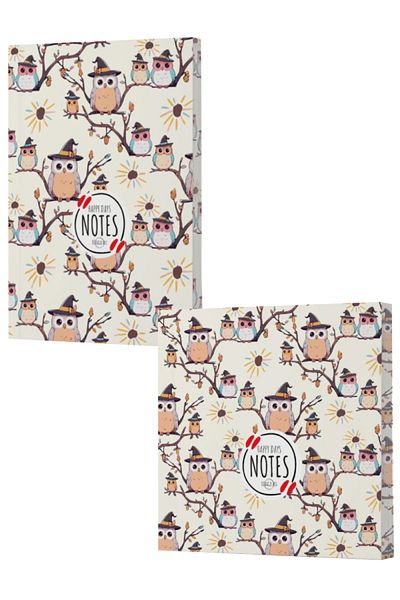 Dokuz Yayınları Vivago Art Owl 7 - Line and Unlined Notebook Set 14X20/15X15 (320 Sheets)