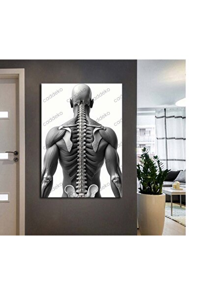 caddeko ftv52 Fizik Tedavi Ve Rehabilitasyon Ayak Anatomisi Tablo Modern Klin...
