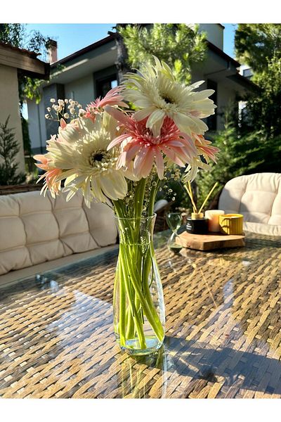 Goine Decorative Glass Vase