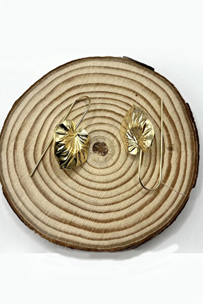 Glaren Minimal Yaprak Altın Renk Kanca Kadın Küpe