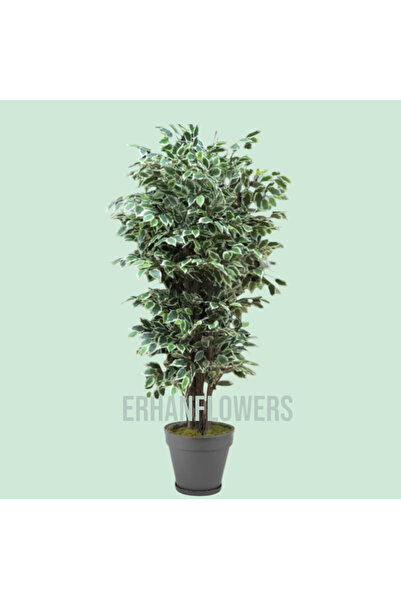 ERHAN FLOWERS ÇİÇEK & DEKORASYON 180 cm yapay ficus Benjamin ağacı