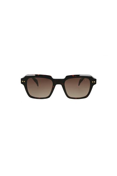 JK 1172 C:4 S.Brn/Gold color sunglasses Unisex