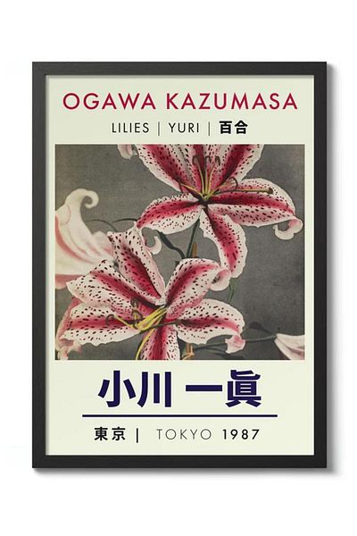 Taranist Poster - Ogawa Kazumasa Poster