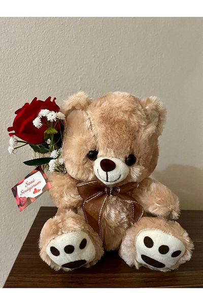 Tiny Desing Accessorıes Cute Teddy Bear with Special Mini Rose Bouquet 🧸