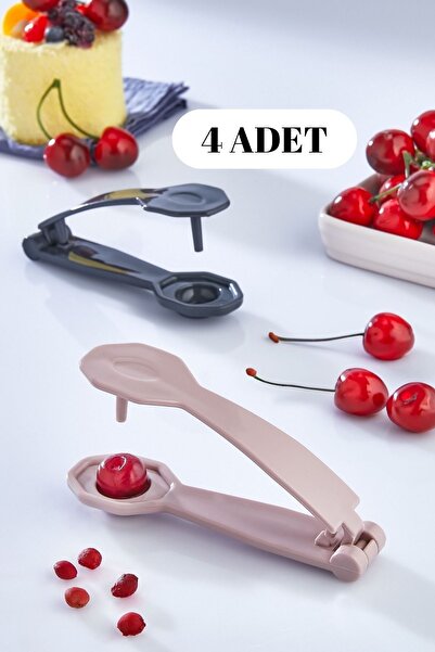 Rotanev 4 Adet Çekirdek Çıkarma Aparatı - Yeşil Siyah Zeytin, Vişne, Kiraz Çe...