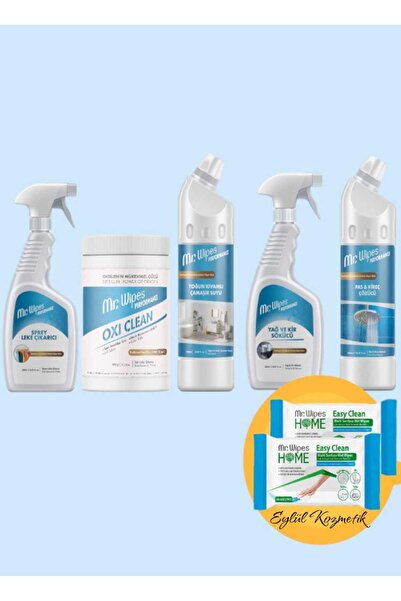 Farmasi Mr.Wipes Seti(Leke Çık.Spry+Oxi Clean+Yoğun Çam. Suyu+Yağ Kir Sök.+Pa...
