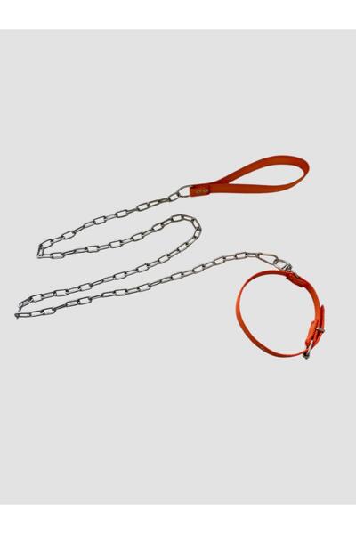 shop سلسلة متوسطة الحجم لطوق الكلب