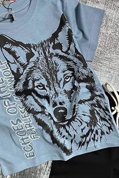 Riccotarz Erkek Çocuk Kara Kalem Kurt ve Yazı Baskılı Mavi T-Shirt Eşofman Takım