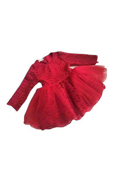 EMBE Baby Girl Burgundy Special Design Tulle, Fluffy, Guipure Birthday Dress