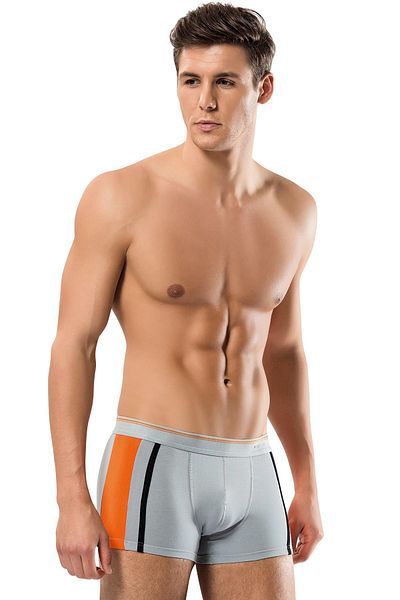 ERDEM İÇ GİYİM Erdem Grey Dubble Line Elastan Boxer 1432