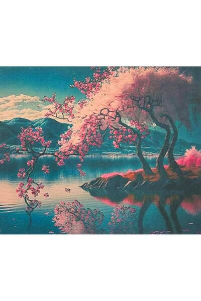 OZN AKSESUAR Hı Stone 5d Elmas Boncuk Taş Işleme Mozaik Goblen Kit 50x40cm gc89258