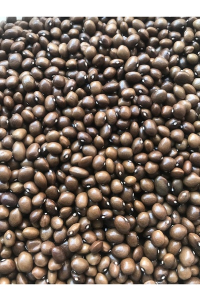 Karahasanoğlu Tarım YERLİ BONCUK AYŞE SIRIK FASULYE TOHUMU 100 GR