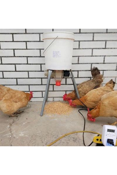 KARAHASANOĞLU MAKİNE Automatic Chicken and Dower Feeding Machine