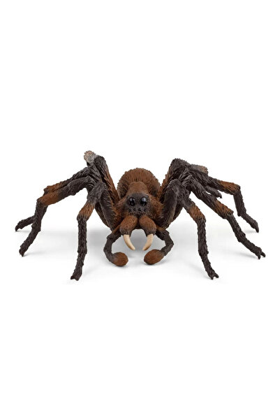 SCHLEICH هاري بوتر أراجوج 13987