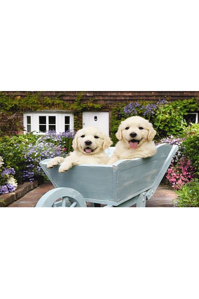 Anatolian Puzzle Anatolian 260 Piece Gardener Dogs 3310