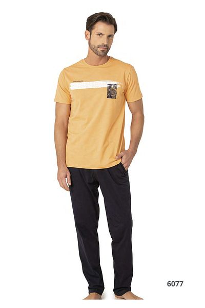 Pierre Cardin New Season Men's Short Sleeve Home Wear - Vr.E11.U3.E068.77.11.01