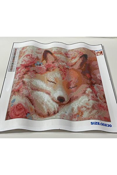 Yapboz Boncuklu Goblen 5d Taşlı Mozaik Elmas Goblen 30 x 30 Tamamı Yuvarlak Boncuklu