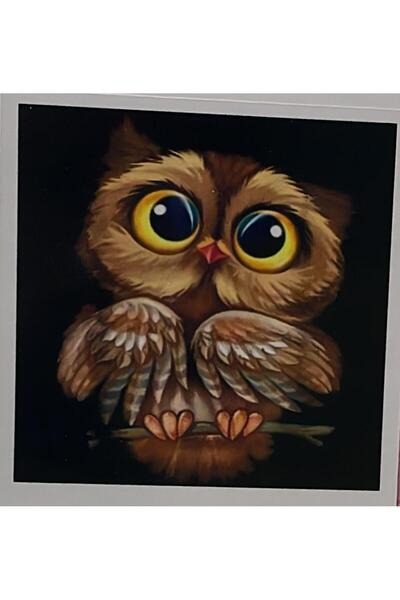 Yapboz Boncuklu Goblen 5d Taşlı Mozaik Elmas Goblen 30 x 30 Tamamı Yuvarlak Boncuklu